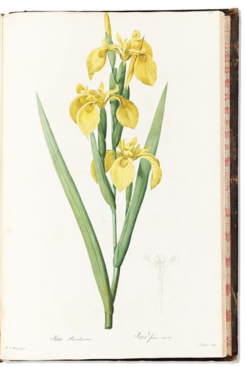 (BOTANICAL.) Pierre-Joseph Redouté. Les Liliacées (volumes 3 and 4).